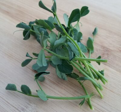 Pea Shoots