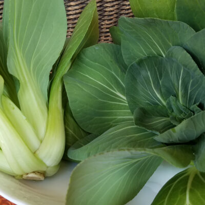 Pac Choi